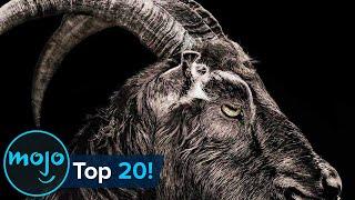 Top 20 Terrifying Horror Movie Animals