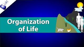 Organization of Life