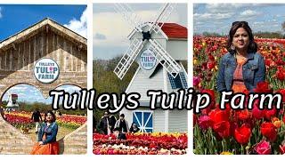 A Day Trip To Tulleys Tulip Farm Crawley England.