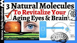 3 Natural Molecules To Revitalize YOUR AGING EYES & BRAIN!!