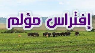 افتراس مؤلم