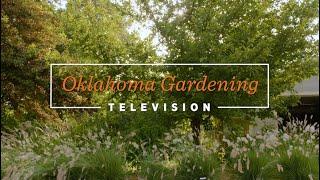 Oklahoma Gardening August 10, 2024