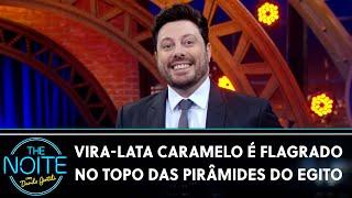 Vira-lata Caramelo surgiu no topo de uma das pirâmides do Egito | The Noite (14/11/24)