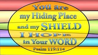 Psalm 119:114 (God is our hiding place & shield. Trust in His Word.)