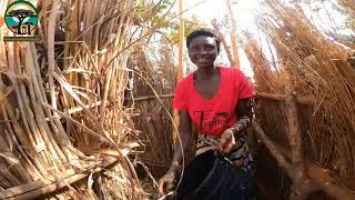 African village life || #cooking lunch for a Village family