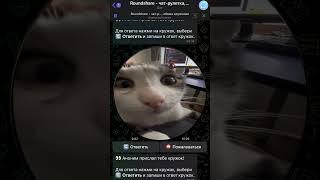 @roundshare_bot - бот для анонимного общения кружочками  #телеграм #бот #анонимныйчат #кружки