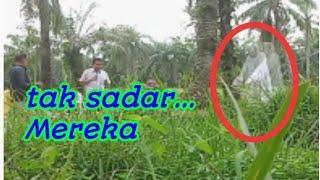 PARA WARGA TAK SADAR ADA MAKHLUK ASTRAL DI DEKAT MEREKA/mante bunian