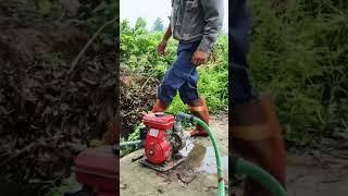 Pumping water to irrigate orchards #pineapple #ambarella #livewhitnature #đặng thị tỉnh #lý thị ca