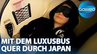 Luxus auf Rädern: Die außergewöhnlichen Busreisen in Japan