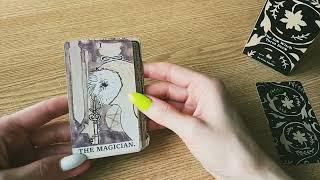 Обзор колоды The Ink Witch Tarot  Таро Чернильной ведьмы. Часть 1 Старшие арканы