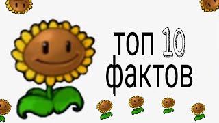 ТОП 10 ФАКТОВ О ПОДСОЛНУХЕ #фактыоростениях