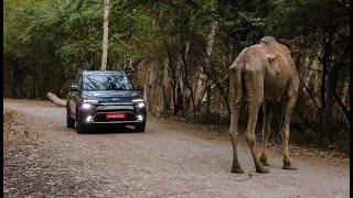 Kia Carens meets Camel 