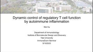 Dynamic control of regulatory T cell function by autoimmune inflammation