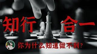 什么是知行合一 #独立思考 #知行合一 #心学 #哲学 #王阳明