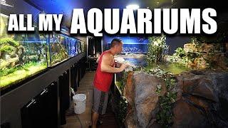 ALL MY AQUARIUMS - The king of DIY fish tanks tour