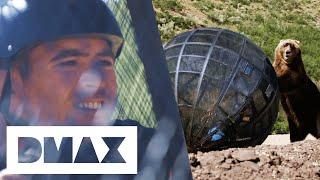 Man Faces Grizzly Bear With Only A Thin Steel Cage Between Them | Man vs. Bear