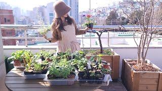 [도시농부 꽃님이] 흙을 깨우다,생명을 깨우다.