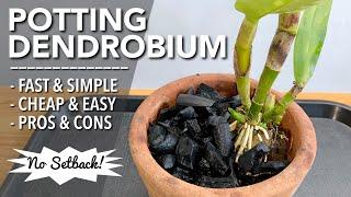 POTTING NEW DENDROBIUM ORCHID | How to Plant Orchid in a Pot | Paano Magtanim ng Orchid sa Paso