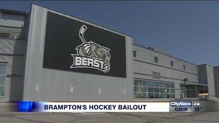 Anger over taxpayer bailout of Brampton pro hockey team