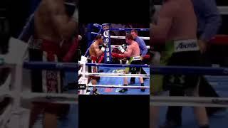 Brilliant Feint By Canelo | Fight Tips | T90 Fight & Fitness | #boxing #boxingtraining