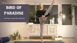 Bird of Paradise Vinyasa Mini-Sequence