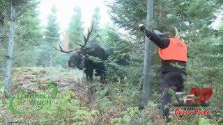 Jason VS Bull Moose