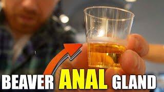 DEVOURING the 20 Most DISGUSTING Foods in the World | Disgusting Food Museum in Malmo Sweden