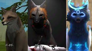 Wildcraft - TikTok Compilation