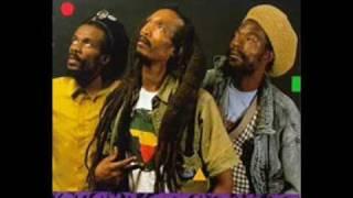 ISRAEL VIBRATION-AMBUSH