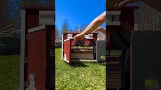 Solar Kiln️