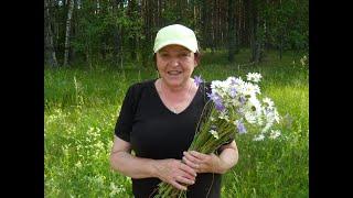 Жизнь Валентина Тимошенко