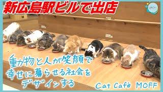 【ミナモアの魅力】ネコ好きにはたまらないカフェ『Cat Café MOFF』