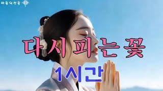 다시 피는 꽃 - 관음보살의 자비와 지혜로 피어나는 희망 - 1시간 #불교음악 #찬불가 #음성법공양 #트로트 #부처님 #지장보살 #염불
