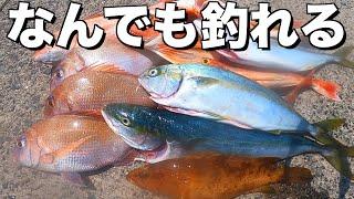 なんでも釣れる『タイラバ』とか言う釣りw