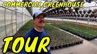 Commercial Greenhouse Tour. Olson's Greenhouse