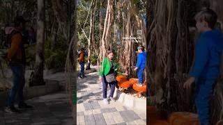 taro ko mohobbat..️#song#sarika Vibes#fun#youtube#shortsfeed#delhi #bollywood