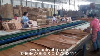 dây truyền chế biến ván ép 0966673899 & 0977263114