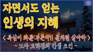 ️ 욕심 버리면 반드시 찾아오는 것 | 노자 도덕경 해설 | 현대인을 위한 인생 지침서 | 인간관계 | 명언 | 좋은글귀 | 노후의삶 | 행복