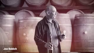 Babich Wines 100 years