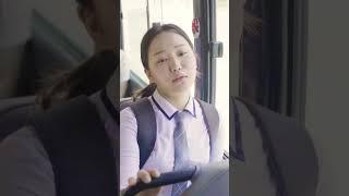 정선 와와버스 사람들 이야기