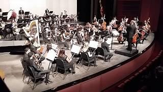 Nader Abbassi - The Young Person's Guide to the Orchestra