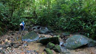 Petualang NgeCamp Di Hutan Rimba Bukan Sembarang Camping Overnight Petualangan Bushcraft Part 26