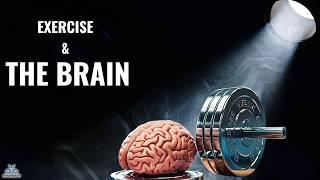 Are You Doing THIS Exercise Type To Help Improve Brain Function?