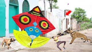 Flying Tukkal Kite Vs Dog With Colourful Chick