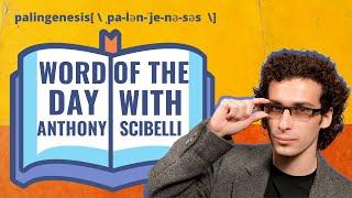 Word of the Day with Anthony Scibelli