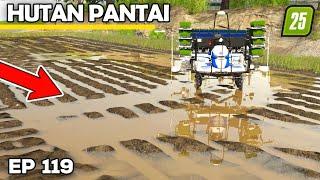 FLOODED FIELDS CAN MEAN ONLY ONE THING | Farming Simulator 25 - Hutan Pantai | Episode 119