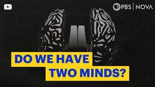 Does the Human Brain Actually Have Two Minds? NOVA | PBS