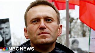 Russian opposition leader Alexei Navalny dies in prison