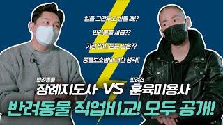 반려동물장례지도사 VS 반려견훈육미용사 직업비교 모두 공개!
