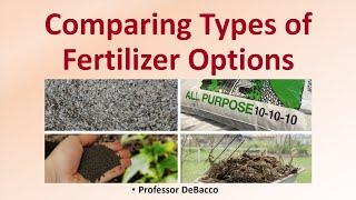 Comparing Types of Fertilizer Options